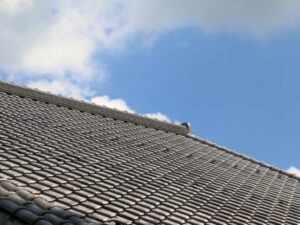 青空の下の瓦屋根